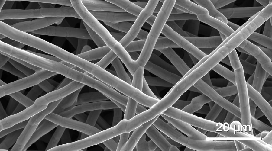 metals-and-alloys-metallic-filter-picture-by-quattro-esem