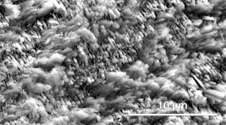 /minerals-shells-surface-quattro-esem picture-by-quattro-esem